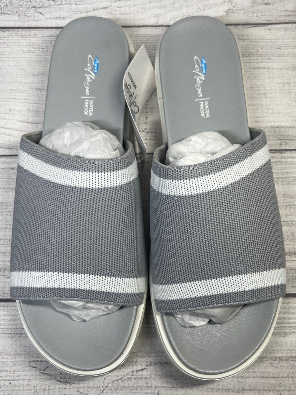 Aqua College Katalina Slide